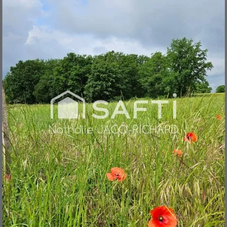 Terrain à bâtir - 1020m² - 24240 - Ribagnac