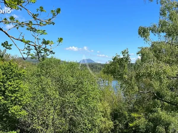 Chalet 4 personnes au bord du lac d'aydat face au puy-de-dome