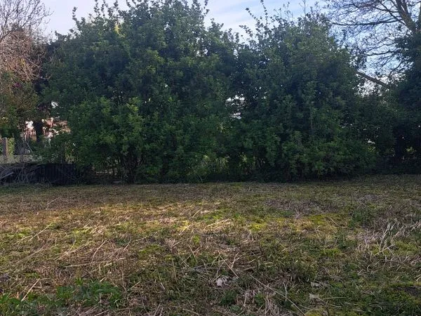 Terrain de 600 m² à louer - Dechy (59187)