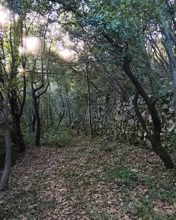 Terrain de loisirs en Cévennes