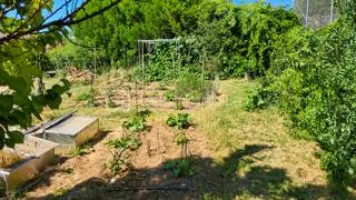 Terrain 604 m²
