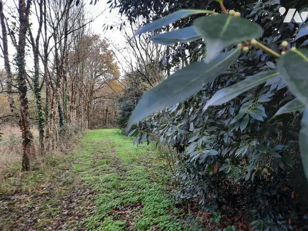 Terrain 12772 m²
