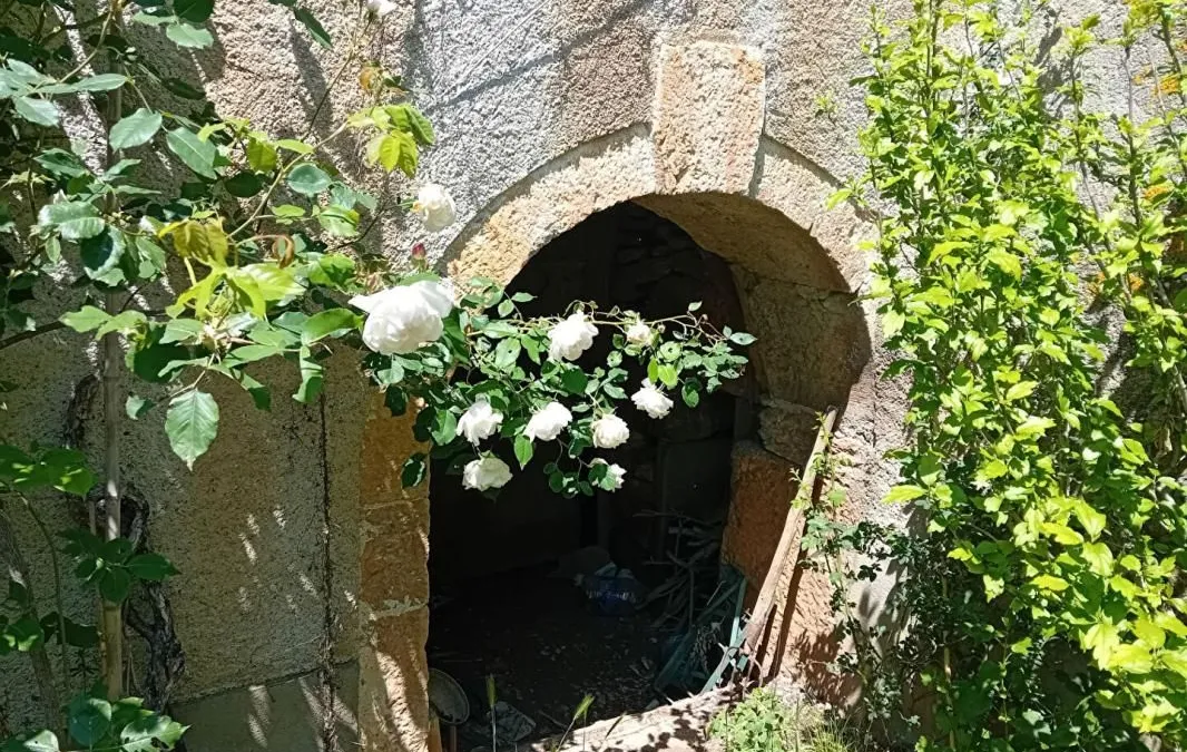 Photo 12