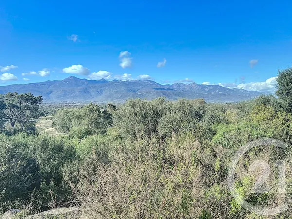 Terrain 875 m²