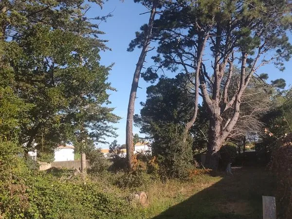 Terrain secteur Bois des Eloux Noirmoutier
