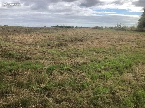 Grand terrain constructible 3 010 m² — Péault (85) Prix : 96 320