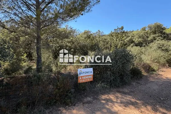 Terrain 57000 m²