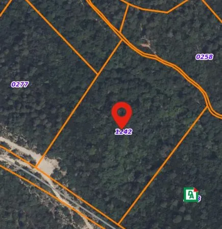 Terrain 17020 m² Pignans