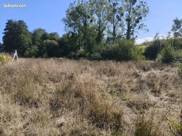 Terrain agricole