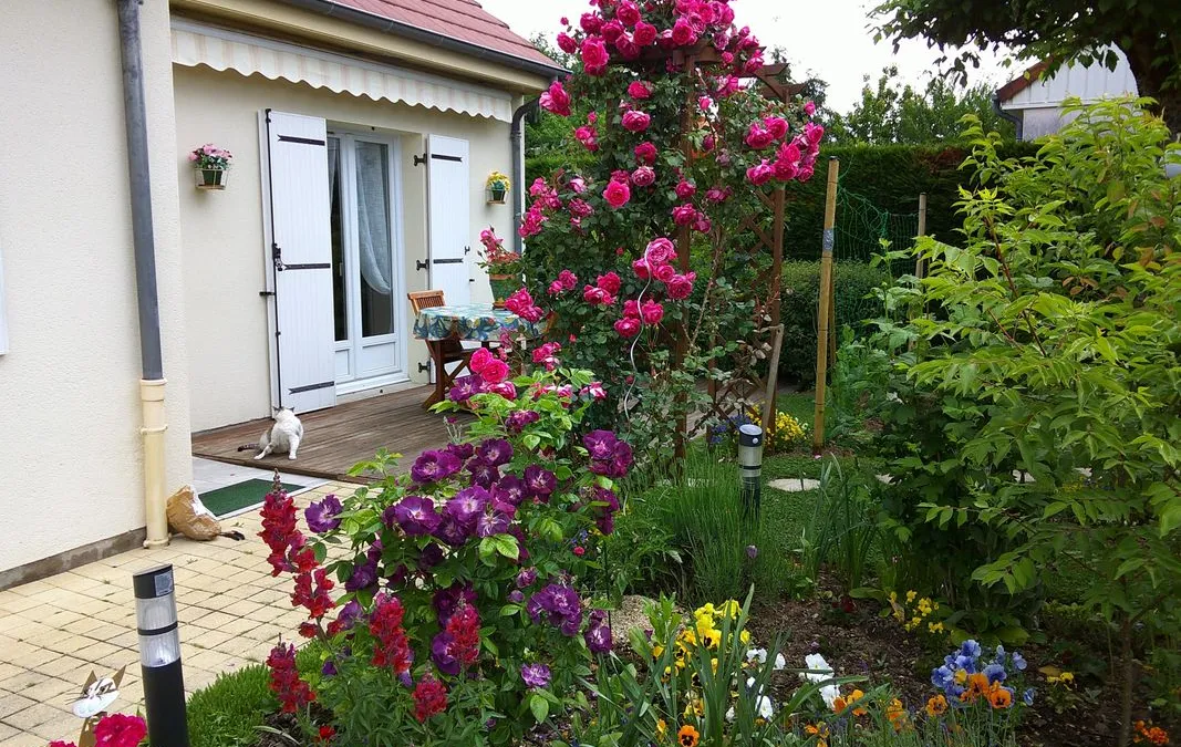 Photo 1