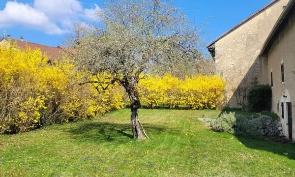 Maison 7 pièces 255 m²