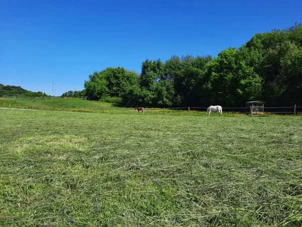 Terrain en individuel 422 m²
