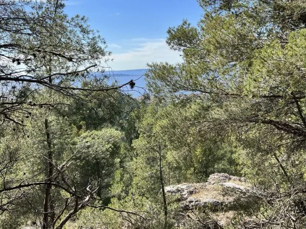 Propose colocation appartement 84m² Saint-Jérôme / Château-Gombert