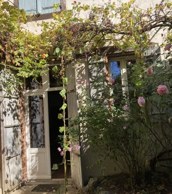 Photo 8