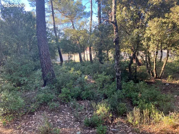 Terrain plat, constructible