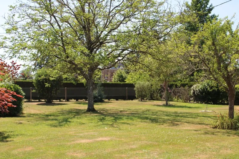 Photo 18
