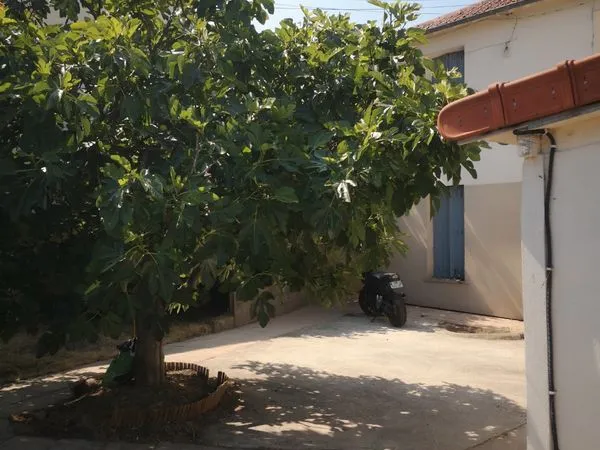 Immeuble ou Maison 156m2 habitables 320m2 de terrain