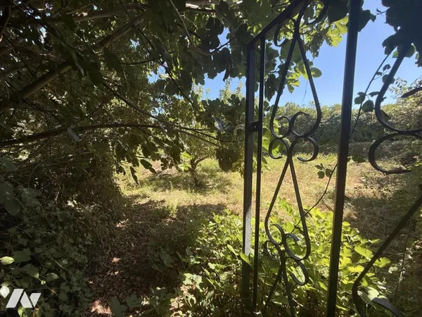 Terrain 506 m²