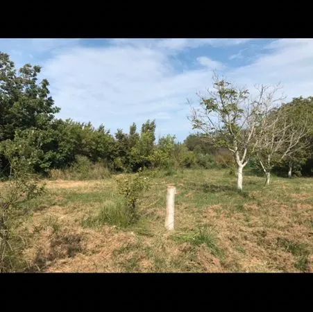Terrain agricole idéal loisir ou jardinage