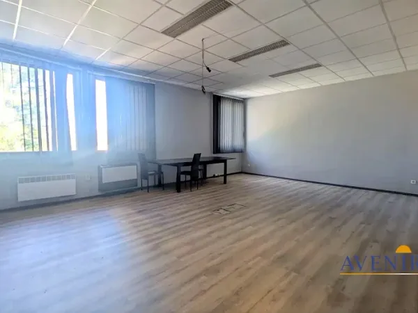 Hôtel particulier 1 pièce 42 m²