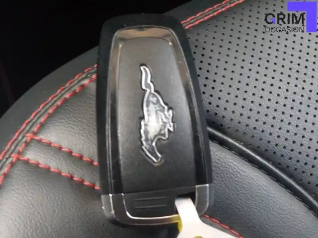 Ford Mustang mach-e extended range 91 kwh 294 ch — photo 26
