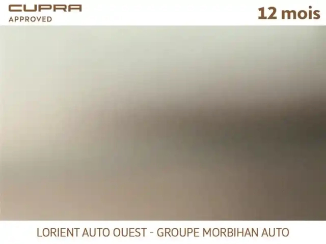 Cupra Formentor 1.4 e-hybrid 245 ch dsg6 — photo 12