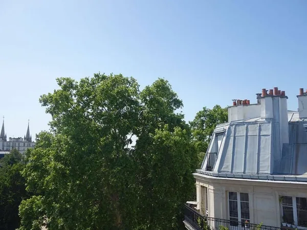 Studette 1 pièce 13 m²