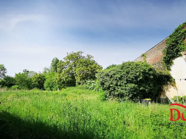 Terrain à vendre - Campagne de Marchiennes