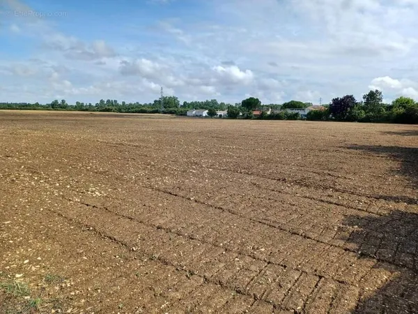 Terrain 221 m²