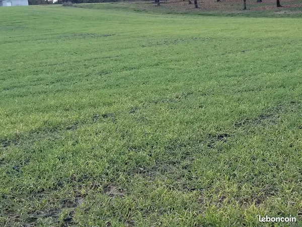 TERRAIN de 2488 m2 : voyez plus grand au même prix
