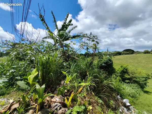 Terrain a vendre