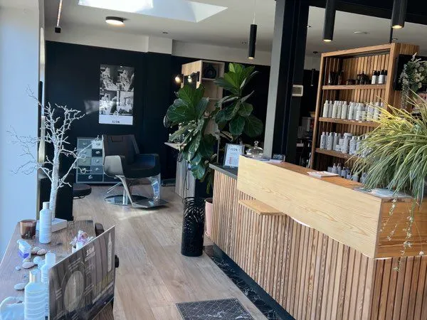 Salon de coiffure à vendre