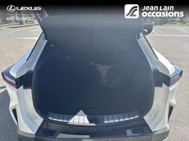 Lexus Rz 350e — photo 10