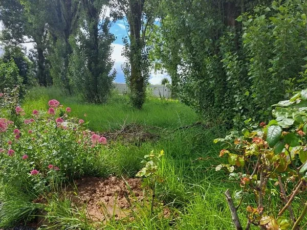 Terrain 400 m²