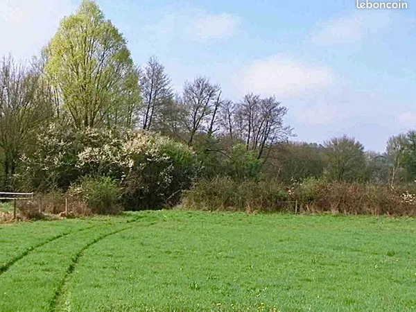 Terrain agricole Cadenet 84160