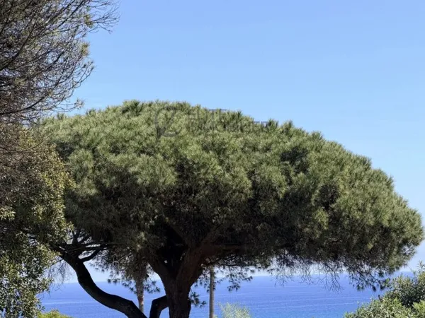RAMATUELLE — Maison vue mer | 180 m² | Terrain 1 925 m²