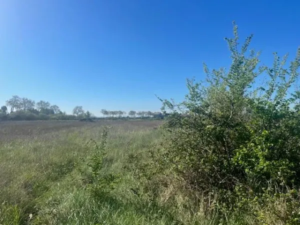 Terrain 8320 m²