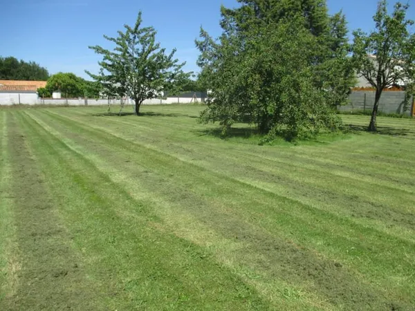 A Vendre Terrain Le Douhet env.1000 m2