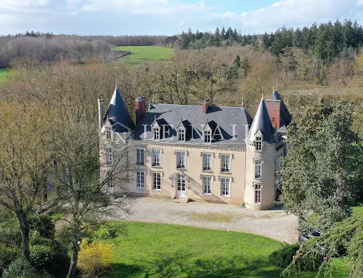 Château 19 pièces 446 m²