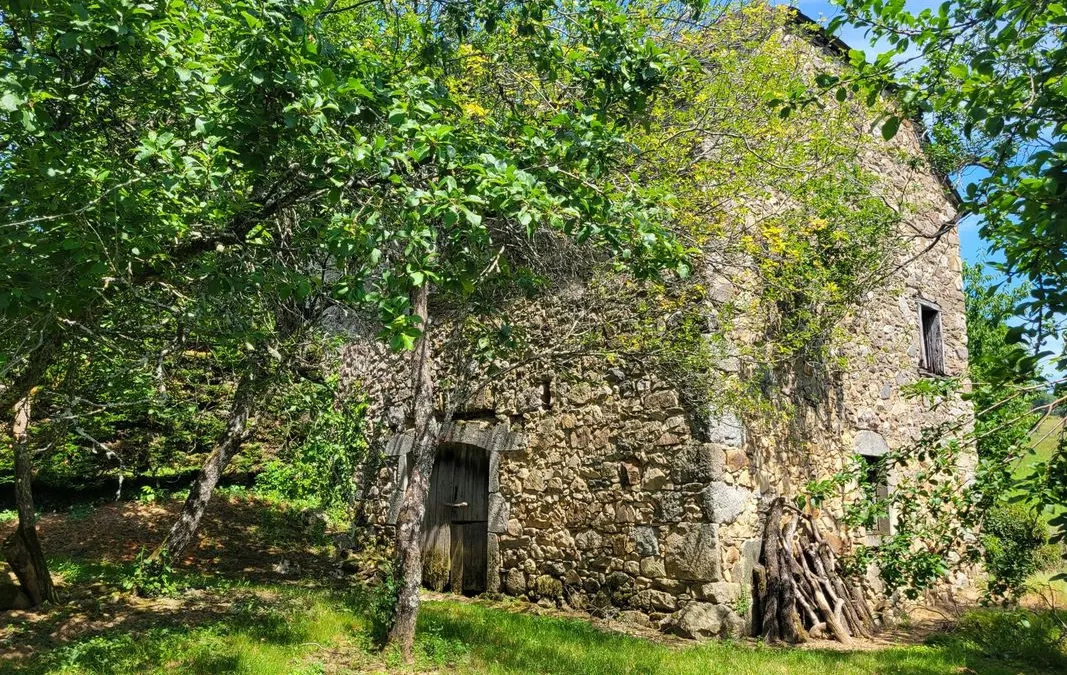 Photo 13