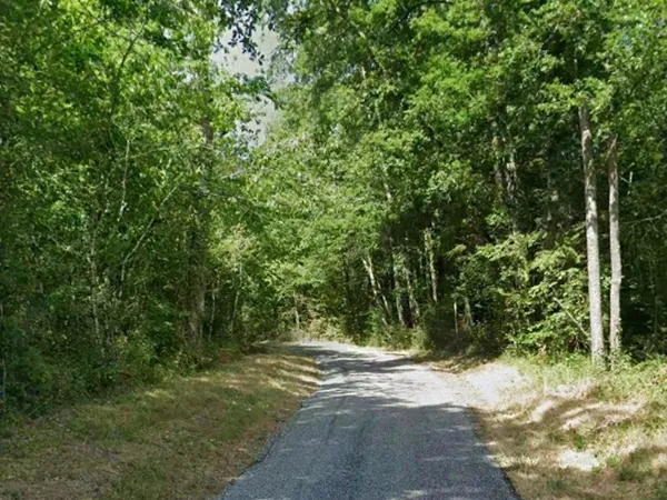 Parcelle de bois d'un peu plus de 5 hectares