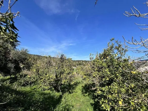 Terrain constructible 1939 m²