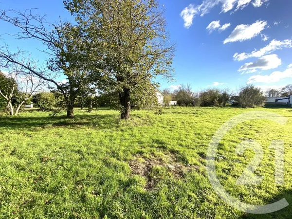 Terrain 377 m²