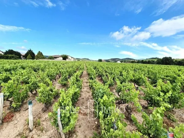 Terrain 5633 m²