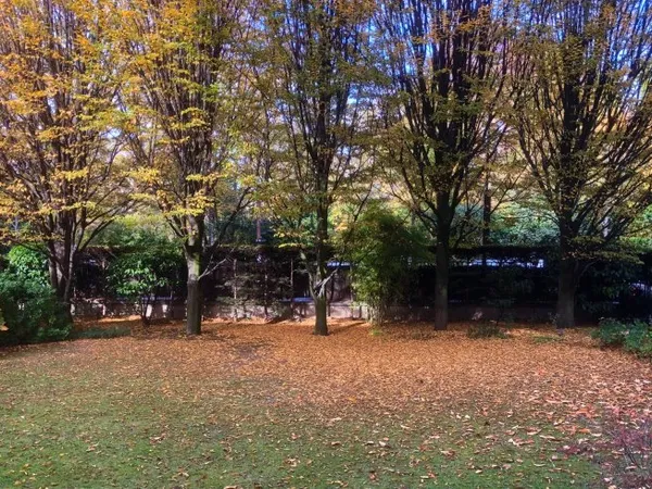 Vends appartement