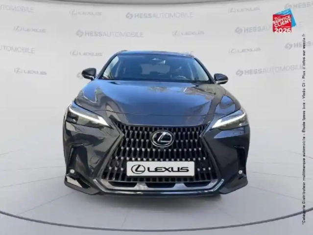 Lexus Nx 450h+ executive 4wd my25 — photo 2