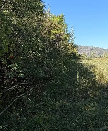 Terrain à bâtir viabilisé