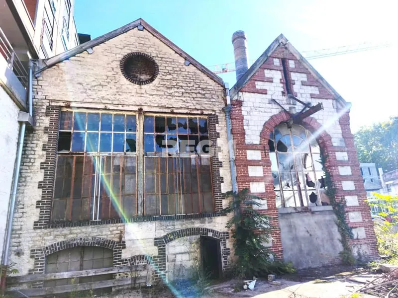Photo 7