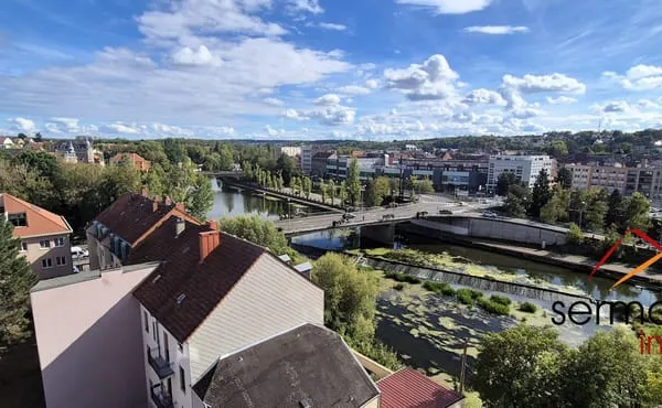 SARREGUEMINES - VUE PANORAMIQUE SUR LA SARRE ! Appartement F3