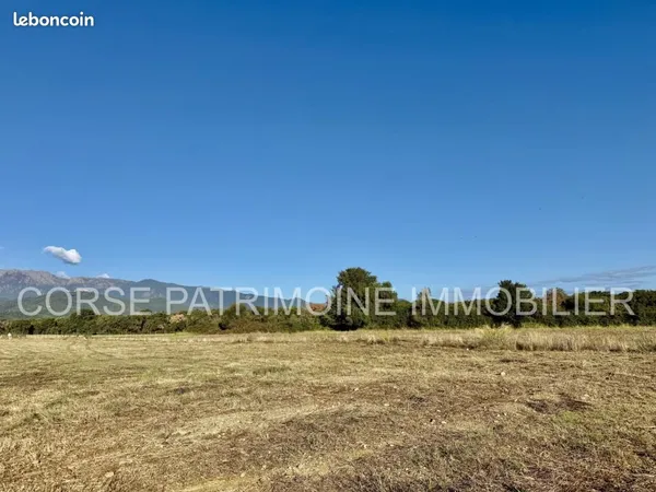 Terrain 1 020 m² Prunelli Di Fiumorbo